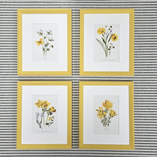 Set of 4 Vintage Botanical Book Plates in Yellow Frames