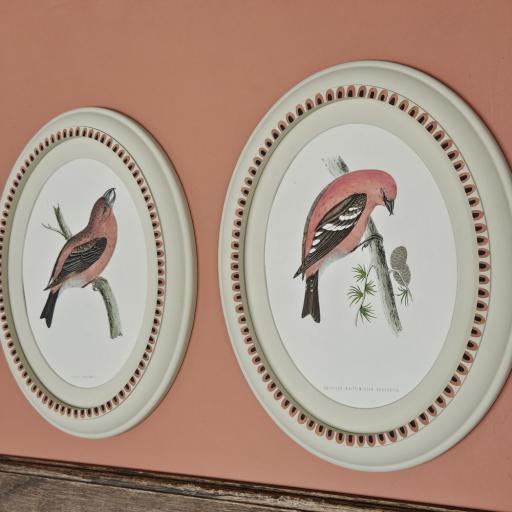 Pair of Antique Bird Prints in Oval Handpainted Frames (String)