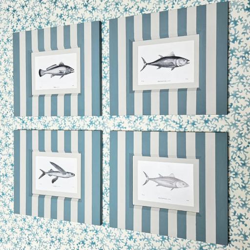 Set of 4 Vintage Fish Book Plates in Handpainted Striped Frames