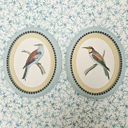 Oval Green Blue Birds 2.jpg