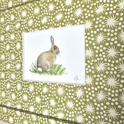 Wrapped rabbit watercolours 3.jpg