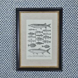 Fish in Black and Linen 1.jpg