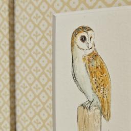 Owl watercolour wrapped 2.jpg