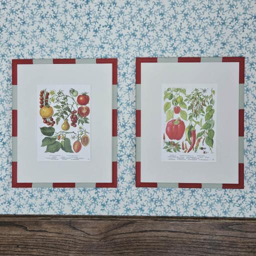 Pair of Vintage Salad Prints in Stripey Handpainted Frames