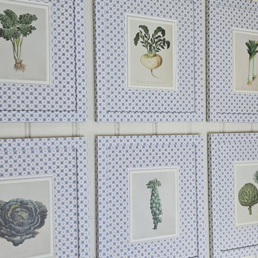 Set of 8 Vegetable Prints in Wrapped Frames