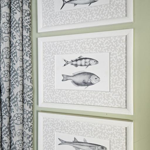 A Trio of Fish Prints in Decorative Mounts and Off White Frames