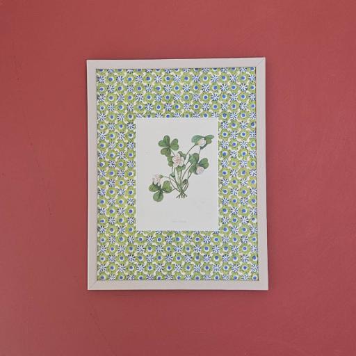 Vintage Print of Wood Sorrel in Decorative Mount