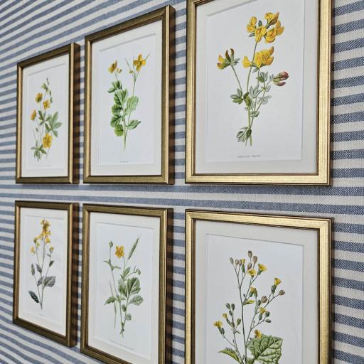 Set of 6 Botanical Prints in Gold Frames