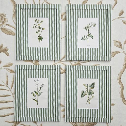 Set of 4 Botanical Prints in Bobbin Stripe Wrapped Frames