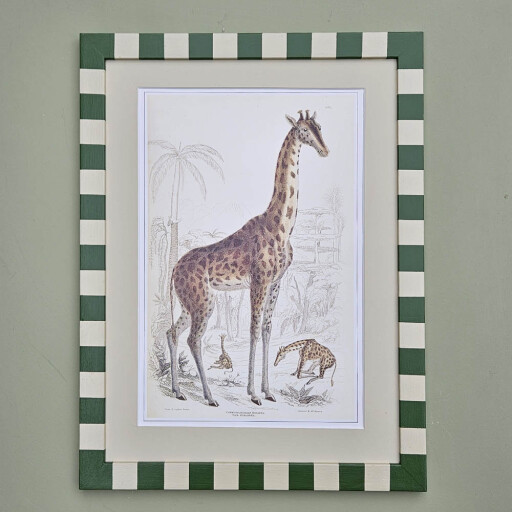 GiraffeGreenStripe 1.jpg